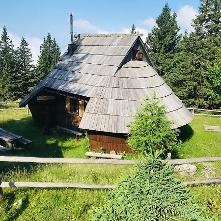 Chalet Gasparjeva Velika Planina Kamnik Buitenkant foto
